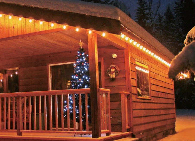 LED Outdoor Christmas Globe Festoon Cafe Patio String Light