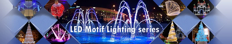 Multi-Color Options Outdoor Holiday Decorations 2D LED Motif Lights