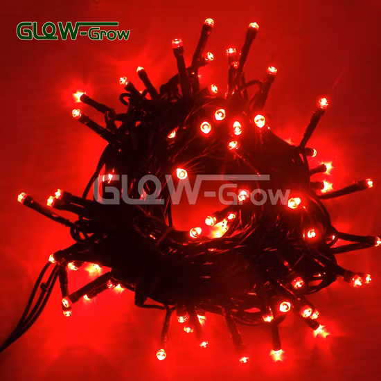 100 LED blue Waterproof Decorative Solar Copper Wire Fairy String Light